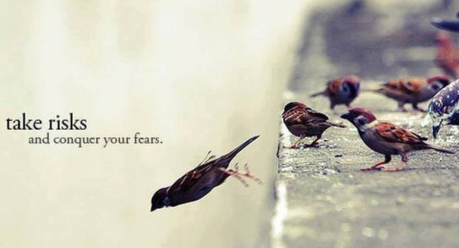 animal-instinct-take-risks-birds-flying - Living With Power animal-instinct-take-risks-birds-flying - Living With Power